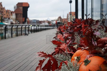 Téléchargez les photos : Décorations d'automne à partir de feuilles et de citrouilles sur le front de mer de Gdansk - en image libre de droit