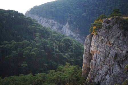 Foto de Alta montaña rocosa sobre el telón de fondo de montañas cubiertas de bosque verde - Imagen libre de derechos