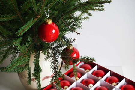 Foto de Ramas de abeto en un jarrón con bolas rojas de Navidad sobre un fondo blanco - Imagen libre de derechos