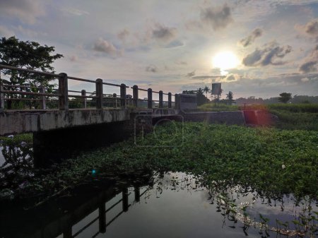 puente y río en medio de campos de arroz
