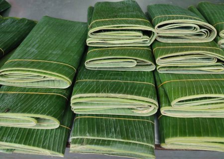 banana leaves that have been trimmed and are being traded in the market