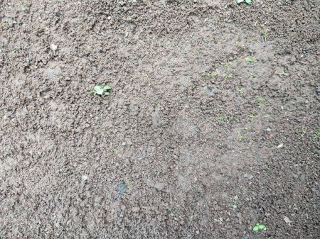 textura o patrón de suelo en los campos, fondo