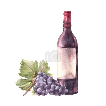 Una botella de vino tinto con vid y hoja de uva. Acuarela mano dibujar ilustración de alimentos sobre fondo blanco. Conjunto de elaboración de vino para su impresión de diseño de etiqueta engomada, volantes, menú, lista de vinos, tarjeta