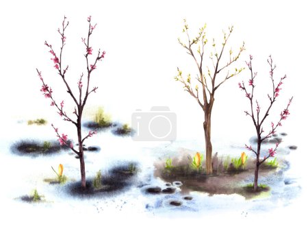 Primary plants flowers, blossoming spring tree, first buds and leaves on the trees on background of melting snow. Hand drawn watercolor landscape Nature awakening after winter isolated illustration 
