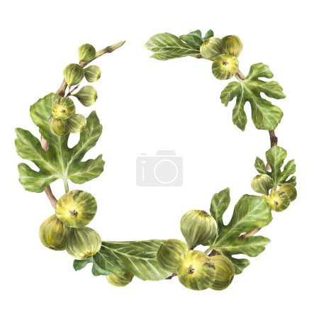 Branch of juicy, ripe green figs with leaves and whole fruit Food, plant wreath, frame, template for jam label, card, price tag print Hand drawn watercolor illustration Isolated on white background