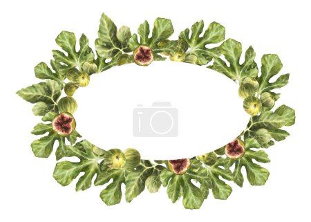 Branch of juicy, ripe figs with leaves and whole overripe fruit. Food, plant wreath, oval frame, template for jam label, card, price tag Hand drawn watercolor illustration Isolated on white background