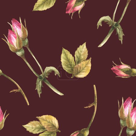 Aquarell wilde Hagebuttenknospen Blätter, Hundekrebs, bunte Rosenblüten im Blühen Botanisches nahtloses Muster für Etikett, Geschenkpapier, Stoff, Tapete Handgezeichnete Illustration isolierter dunkler Hintergrund.