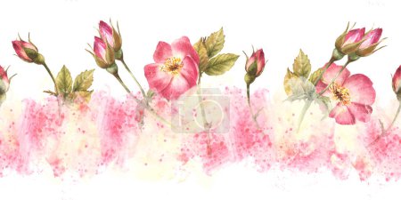 Wild rose hip buds, leaves, dog, cancer or brier rose flowers im bloom seamless border pattern on watercolor pink yellow spots, splashes background Wrapping, wallpaper Hand drawn illustration isolated