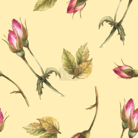 Watercolor wild rose hip buds leaves, dog cancer, brier rose flowers im bloom Botanical seamless pattern for label, wrapping paper, fabric, wallpaper Hand drawn illustration isolated beige background.