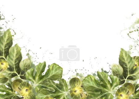 Rama de jugosos higos verdes maduros con hojas y fruta entera en manchas de acuarela salpica fondo. Alimentos, banner de la planta, plantilla para la etiqueta de mermelada, tarjeta, precio de impresión Ilustración dibujada a mano aislado