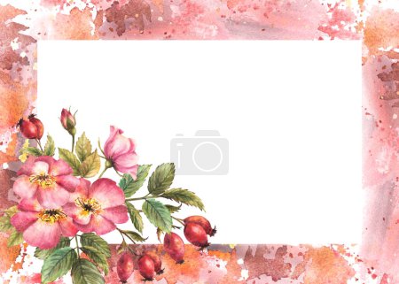 Wild rose hip with buds, berries, flower and leaves. Dog or brier rose branch banner on watercolor stains frame background. Botanical clipart for card, medical label Hand drawn illustration isolated