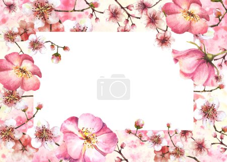 Watercolor blossoming spring sakura, cherry tree branch frame with rosehip, dog or brier rose buds and flowers. Springtime hand drawn template for label, card. Isolated illustration white background