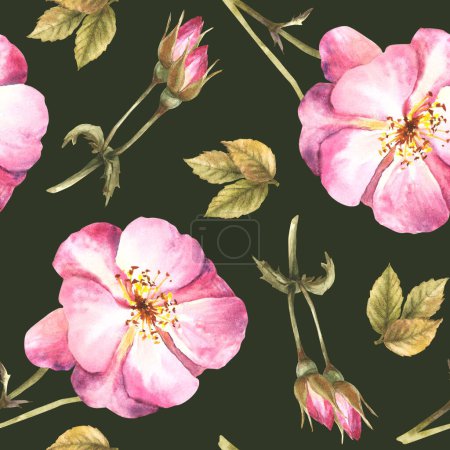 Watercolor floral seamless pattern with pink wild rose hip branch with buds, flowers and leaves, dog or brier rose plant Botanical print for wallpaper Hand drawn illustration isolated dark background