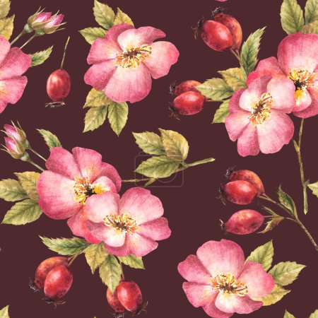 Watercolor pink wild rose hip branch with buds, flower, leaves, berry fruits, dog or brier rose. Floral seamless pattern for print, fabric, wallpaper Hand drawn illustration isolated dark background.