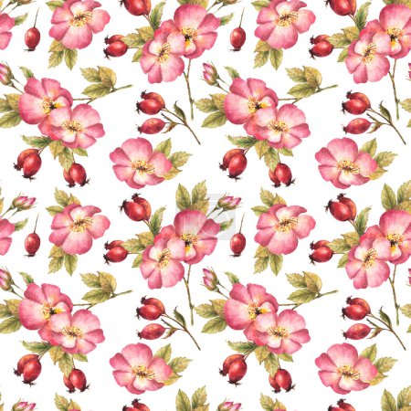 Watercolor pink wild rose hip branch with buds, flower, leaves, berry fruits, dog or brier rose. Floral seamless pattern for print, fabric, wallpaper Hand drawn illustration isolated white background.