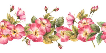 Watercolor floral seamless border, pattern. Pink wild rose hip branch with buds, flowers, leaves, dog or brier rose. Botanical repeating horizontal print. Hand drawn illustration isolated background.