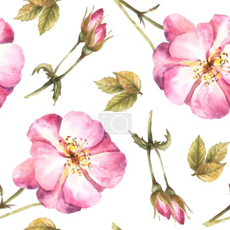 Watercolor floral seamless pattern with pink wild rose hip branch with buds, flowers and leaves, dog or brier rose plant Botanical print for wallpaper Hand drawn illustration isolated white background