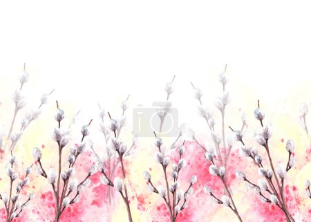 Watercolor spring pussy willow tree on background of watercolor yellow, pink stain splashes seamless banner, border Spring branches, Easter, Palm Sunday card template. Hand drawn illustration Isolated