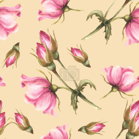 Watercolor pink wild rose hip branch with buds, flowers and leaves, dog or brier rose im bloom. Botanical floral seamless pattern for fabric print. Hand drawn illustration isolated coloured background