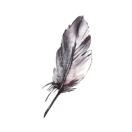 Monochrome black grey bird feather with ink graphic line, hand drawing watercolor clipart. Real quill, wings animal illustration. Clipart for logo design, print, sticker. Isolated white background