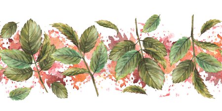 Roses lief or rose hip, briar, brier or dog rose green leaves seamless border, pattern on watercolor terracotta spotted background Hand drawn illustration for label, packing. Herbal clipart. Isolated
