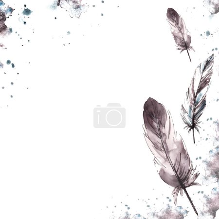 Watercolor painted monochrome frame. Bird grey feathers with graphic ink line on watercolor brush stroke splashes. Real wings card template illustration. Clipart for print. Isolated white background