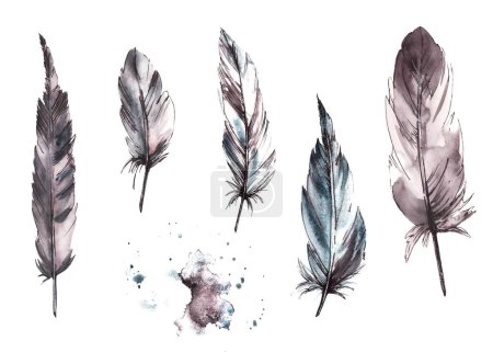 Monochrome bird feathers set with graphic line, watercolor grey, black granulating stain, brush stroke. Real wings. Hand drawn illustration. Clipart for logo, print, sticker. Isolated white background