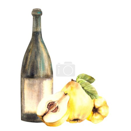 Photo for Quince fruit with bottle of wine, ripe yellow whole and cut fruit. Fruit liquor, wine, schnapps, juice, alcohol drink label, sticker print Watercolor hand drawn illustration Isolated white background. - Royalty Free Image
