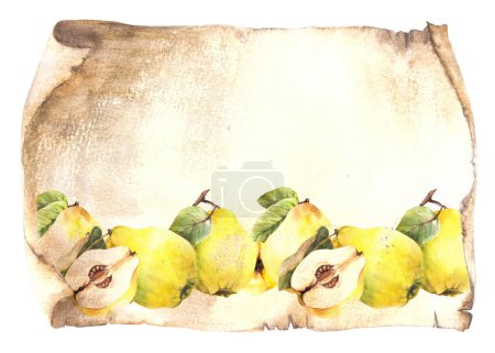 Ripe yellow quince fruit border on an old sheet of papyrus, vintage scroll paper background. Watercolor hand drawn illustration Clipart for food menu, drinks list template, card banner print. Isolated