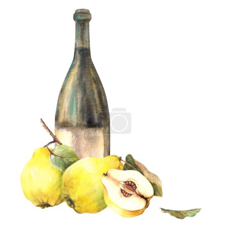 Quince fruit with bottle of wine, ripe yellow whole and cut fruit. Fruit liquor, wine, schnapps, juice, alcohol drink label, sticker print Watercolor hand drawn illustration Isolated white background.