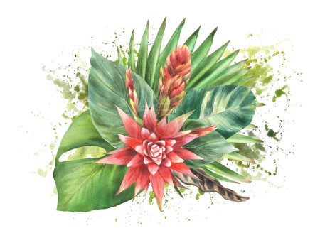 Ilustración en acuarela de flores tropicales y hojas verdes, flores rojas y follaje exuberante Clipart dibujado a mano. Composición exótica en manchas, salpicaduras, fondo de pincelada para el diseño de la tarjeta. Aislado