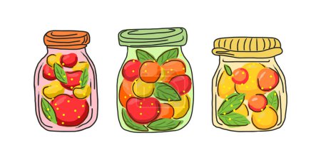 Fruit juice, compote, canned fruit in a jar. Vector isolated. Set of 3 colored glass jars with berry drink, whole fruits and mint leaves. Apple, peach, apricot drinks. Home canning. Organic eco jam