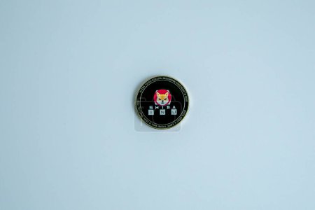 Foto de 1 moneda Shiba inu (SHIB) colocada sobre fondo blanco. - Imagen libre de derechos
