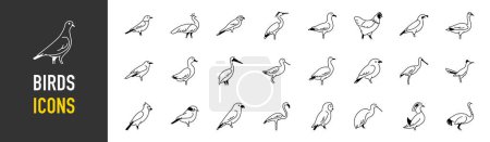Illustration for Set of birds Icons. Simple art style icons pack. Vector illustration - Royalty Free Image