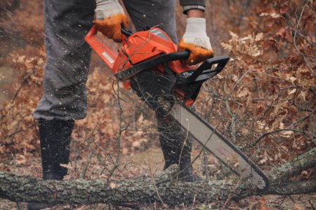 Téléchargez les photos : L'homme dans la forêt coupe l'arbre par terre avec une tronçonneuse électrique à la main.. - en image libre de droit
