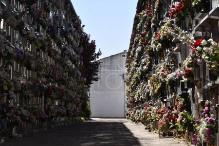 Foto de Cementerio en España, con los nichos llenos de flores - Imagen libre de derechos
