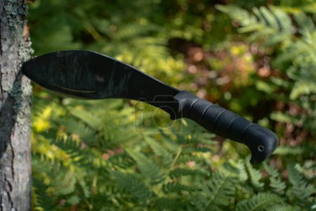 Téléchargez les photos : Un grand couteau kukri est coincé dans un arbre dans la forêt en été. Photo de haute qualité - en image libre de droit