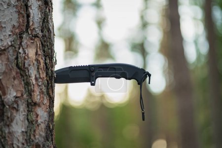 Folding tactical knife stuck in a pine tree in the forest. High quality photo