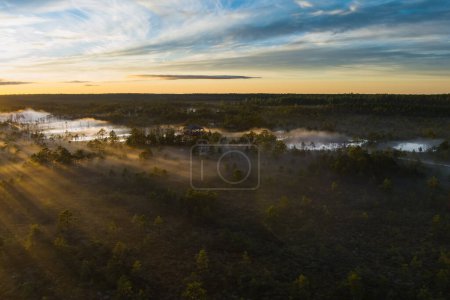 Téléchargez les photos : Nature of Estonia, sunrise on a swamp Viru in summer. Fog over the lakes. View from a drone. High quality photo - en image libre de droit