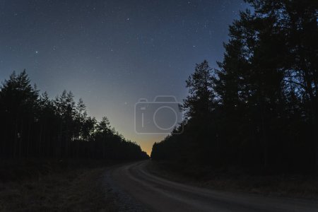 Téléchargez les photos : Night scene, dirt road through the forest, starry sky, the sun begins to rise. High quality photo - en image libre de droit