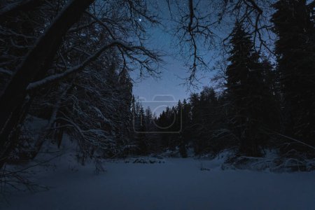 Foto de Escena nocturna en invierno, cielo estrellado y río congelado Valge, naturaleza estonia. - Imagen libre de derechos