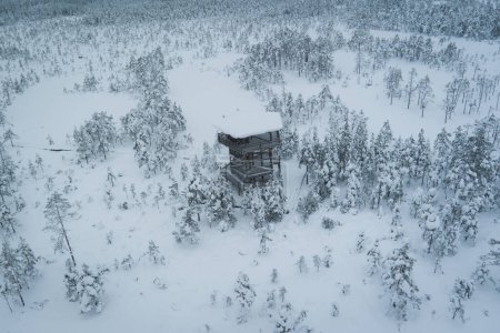 Téléchargez les photos : Scène de nature hivernale d'Estonie. Tour d'observation sur la célèbre Viru raba en journée d'hiver. Photographie de drone. - en image libre de droit