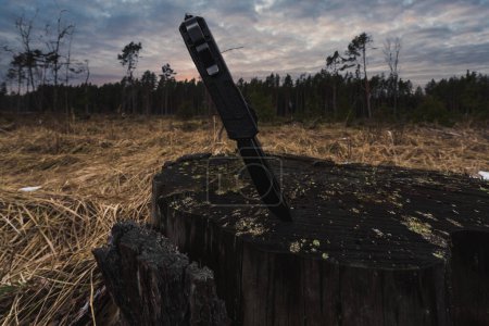 A folding automatic knife is stuck into a dry stump in the forest. High quality photo