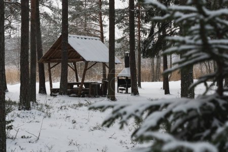 A place for camping in nature in the forest in winter in Estonia. High quality photo