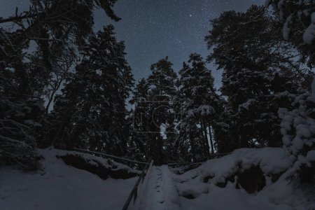 Night scene and starry sky in nature in Estonia in winter. Stairs in the forest on a cliff. High quality photo