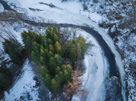 Nature of Estonia in winter, photo from a drone. A river flows through a spruce forest. High quality photo