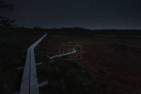 Night landscape astrophotography on a swamp in Estonia. High quality photo
