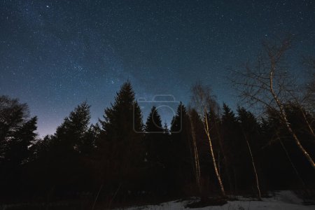 Nächtlicher Mischwald im Winter und Sternenhimmel. Die Natur Estlands. Hochwertiges Foto