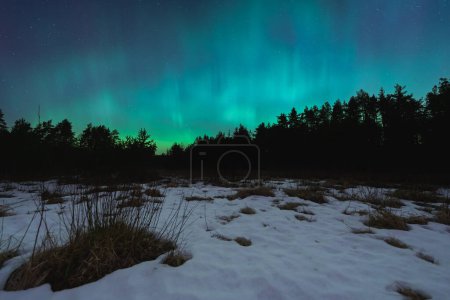 Northern lights and starry sky over a winter forest in Estonia. 