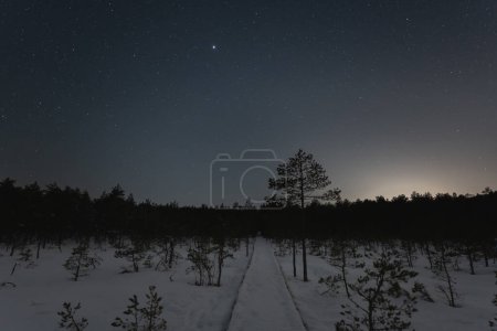 Escena nocturna y cielo estrellado. Carretera de madera para un viajero en el pantano de Viru en invierno nevado. Foto de alta calidad